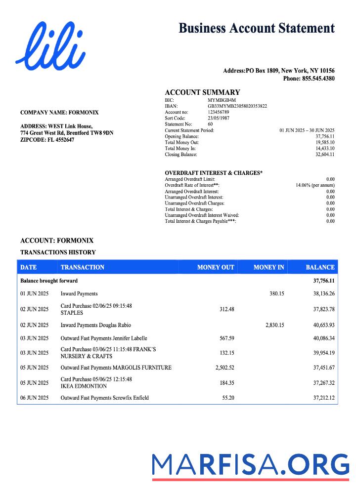 Realistic USA Lili organization account statement Word and PDF template